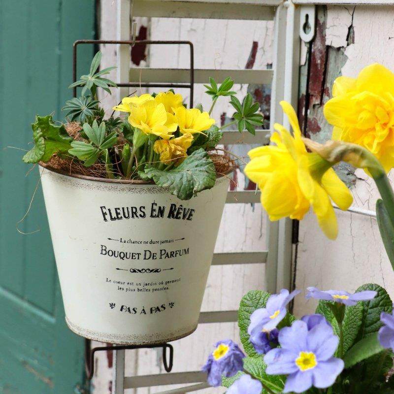 高颜值日系复古梯子半圆小挂盆铁皮花盆园艺杂货阳台椭圆壁挂花盆,鲜花速递/花卉仿真/绿植园艺,花盆,淘宝优惠券,粉丝福利购,淘宝优惠卷