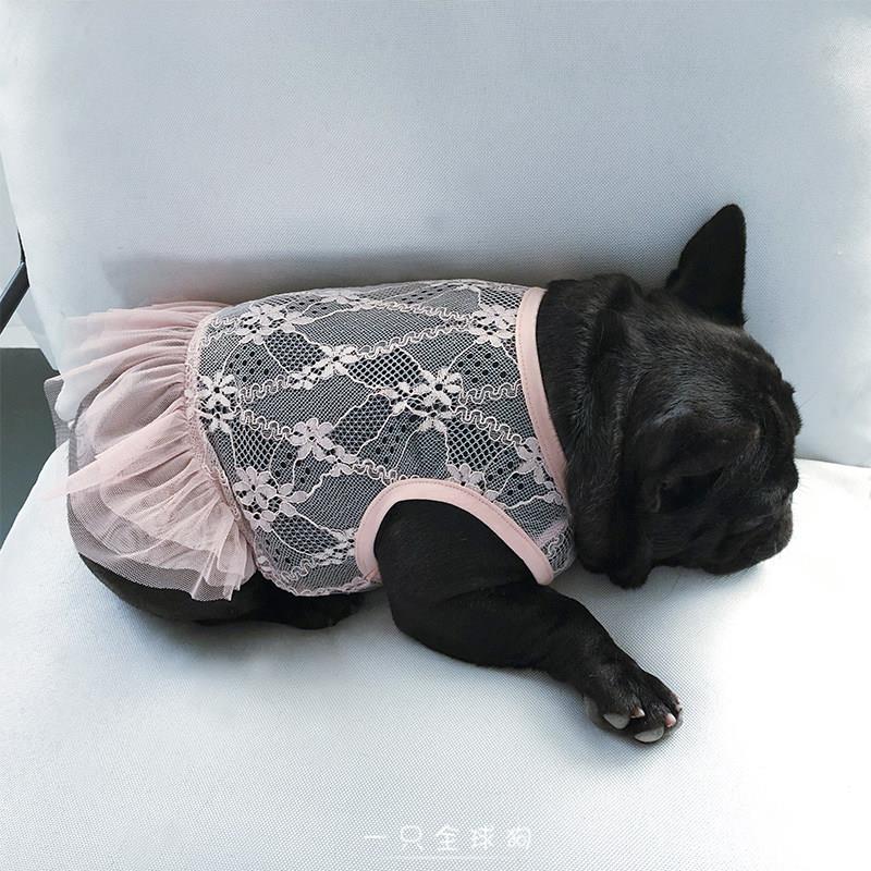 小狗裙子可爱蕾丝网纱裙法斗英斗恶霸胖狗宠物夏季夏装薄款衣服