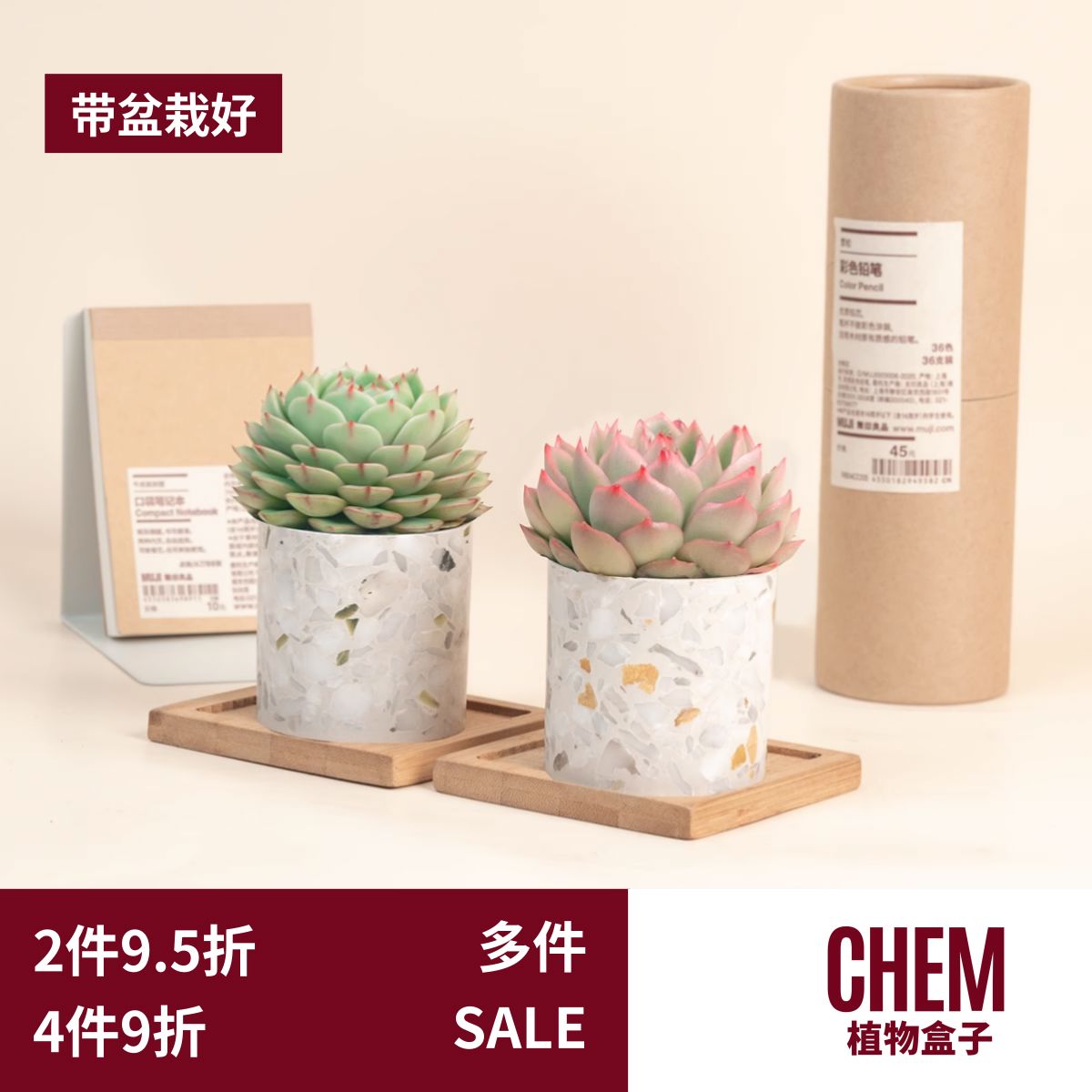 CHEM植物盒子玉露室内多肉植物桌面摆件大理石水磨石花盆带盆