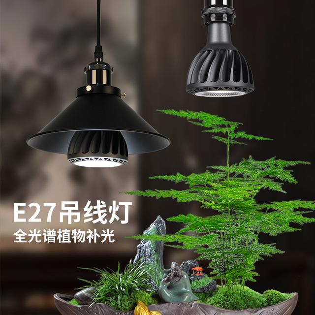 光联天下全光谱自然光鱼缸吊灯室内植物补光灯水陆缸水杨梅生长灯