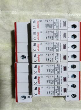 两只美国 Raycap浪涌保护器 SAFETY CR 2