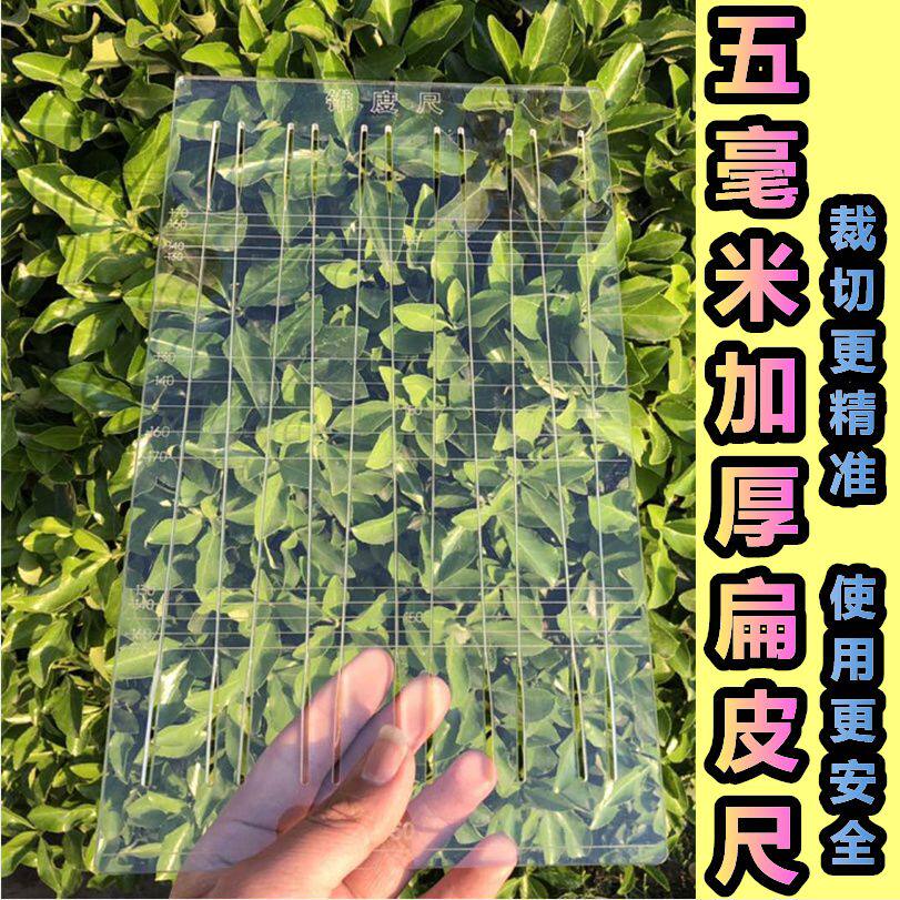 锥度尺扁皮尺弹弓扁皮筋裁切模板尺子有架架切割板梯形固定