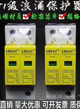 燎原电浪涌保护器LYD2-D20KA/2P配电箱家用防雷避雷器SPD两相