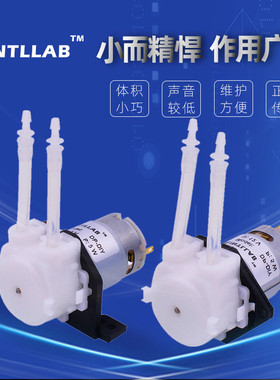 INTLLAB 蠕动泵 微型水泵 家用小型静音 自吸泵 直流抽水泵 12V