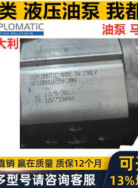 DUPLOMATIC齿轮油泵GP100 27 34 51 74 91 13 R97F20N L97F20N
