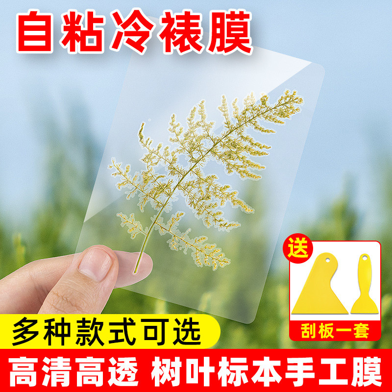 冷裱膜照片相片保护膜自粘过塑膜镭射A6本贴膜贴膜自封树叶高光