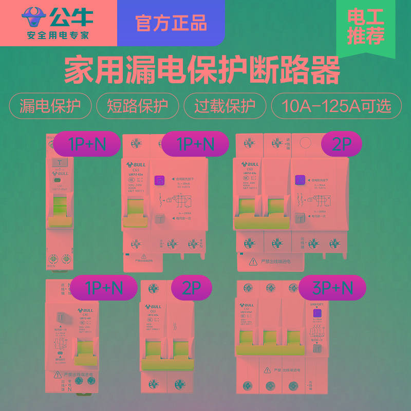 空气开关漏电220v空开断路器总电闸控制保护器63A100A1P2P32A
