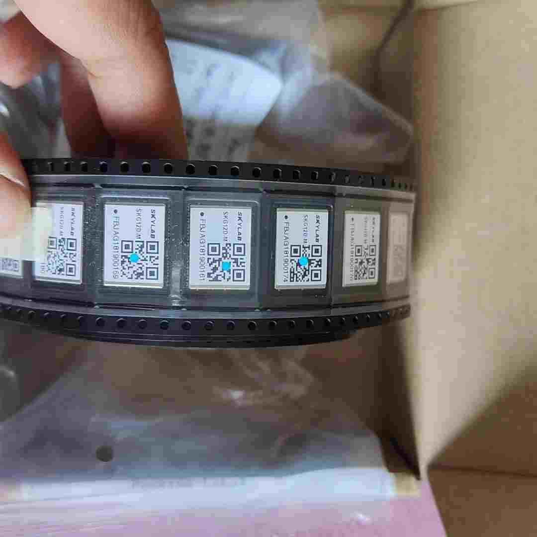 【请询价】SKG12DGPS模块