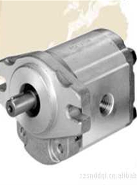 1AG1P02RHONOR钰盟高压1GG1P04R齿轮油泵05 06 07 09 11L U