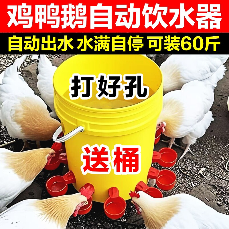鸡用自动饮水器鸭鹅鸽子鹌鹑雏鸡喝水碗家禽饮水碗全自动新款