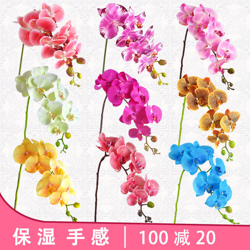 过胶保湿手感蝴蝶兰仿真花单支花客厅家居装饰花酒店婚庆插花假花