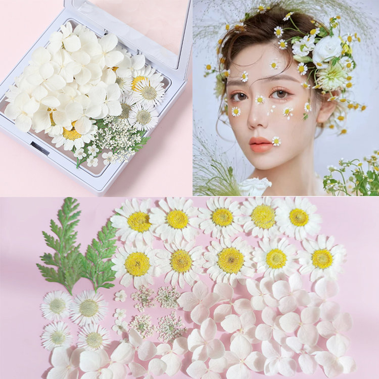 森系妆面贴花脸上干花瓣点缀舞台蝴蝶闪钻眼妆新娘妆拍照影楼