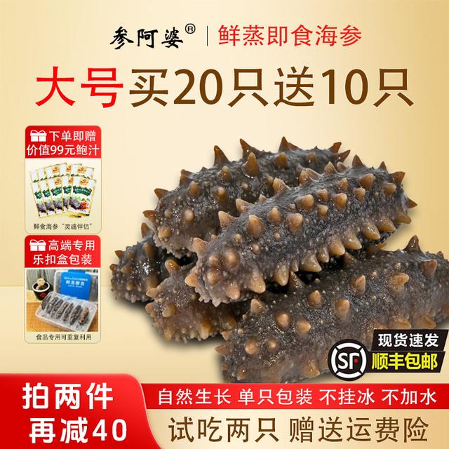 参博会专属参阿婆大号鲜蒸即食海参新鲜非水发海刺参非干参ZB-S
