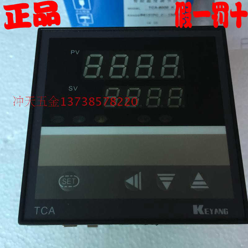 科洋TCA/E-6000智能温度调节仪B6131PC温控器6031/6331