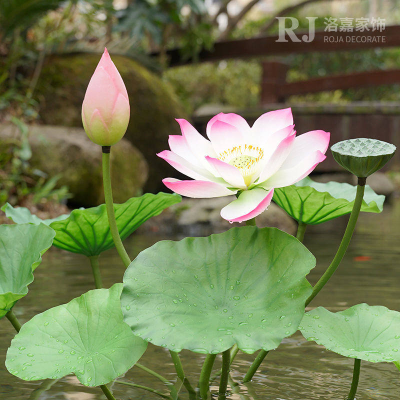 荷花仿真花假荷叶莲花客厅塑料PU假花装饰水池摆件拍照拍摄道