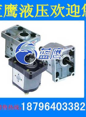 CBT/CBN-G304/G306/G308/G310/G312/E314/G316/F320/G325齿轮