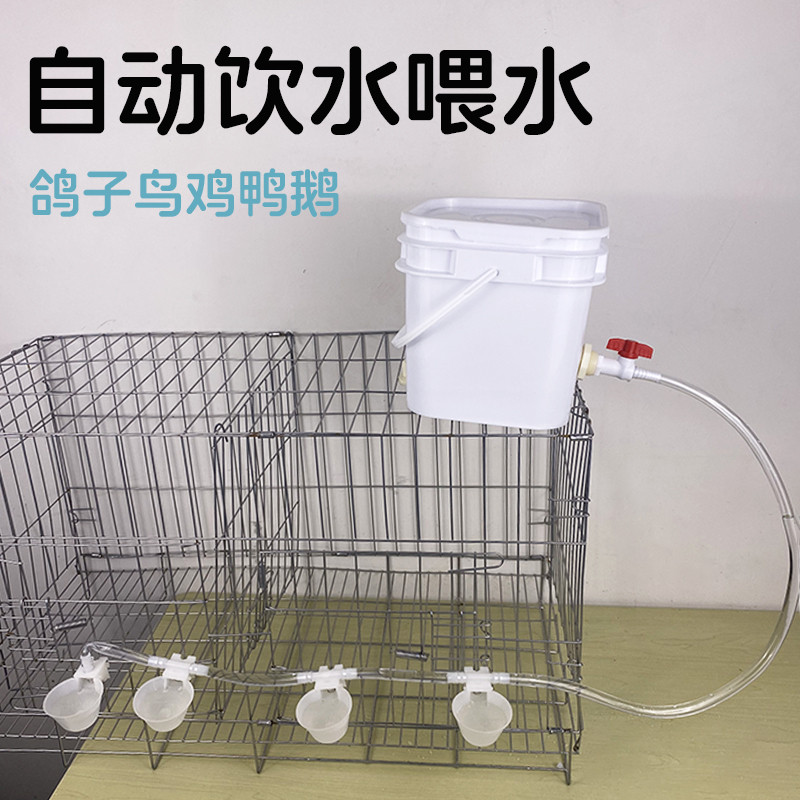 鸽子饮水器自动喂水家禽鹌鹑小鸡鸭子专用水碗水槽小鸟笼喝水