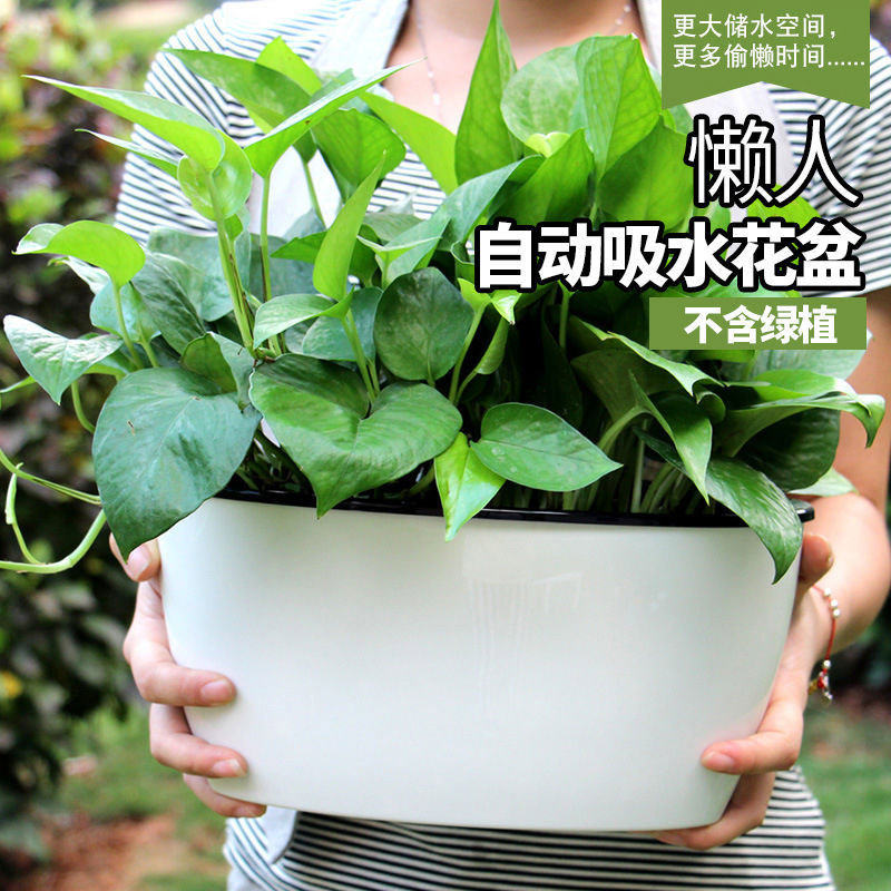 绿萝专用花盆储水盆双层树脂套盆塑料吊兰盆室内自吸水懒人塑