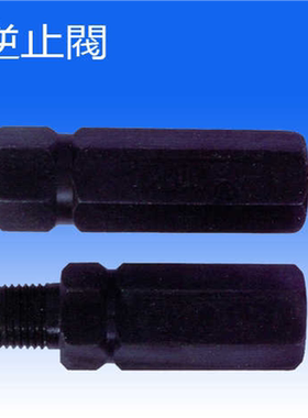 CIT-12-05单向阀TZLI管式止回阀IN-LINE CHECK VALVE逆止阀 1