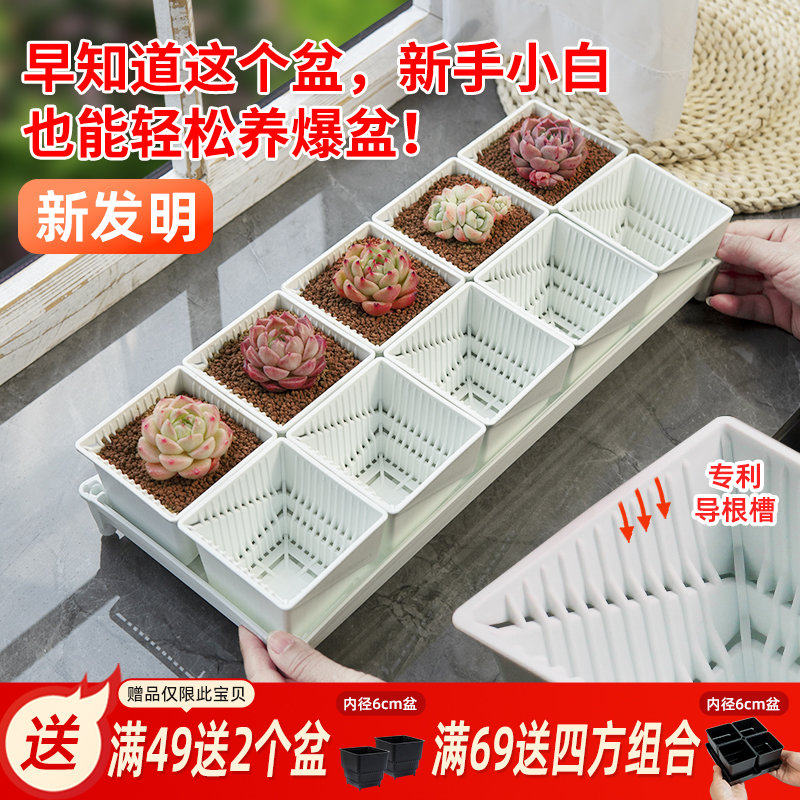 美莳控根多肉花盆长条形塑料透气专用小号方盆和营养土带托盘