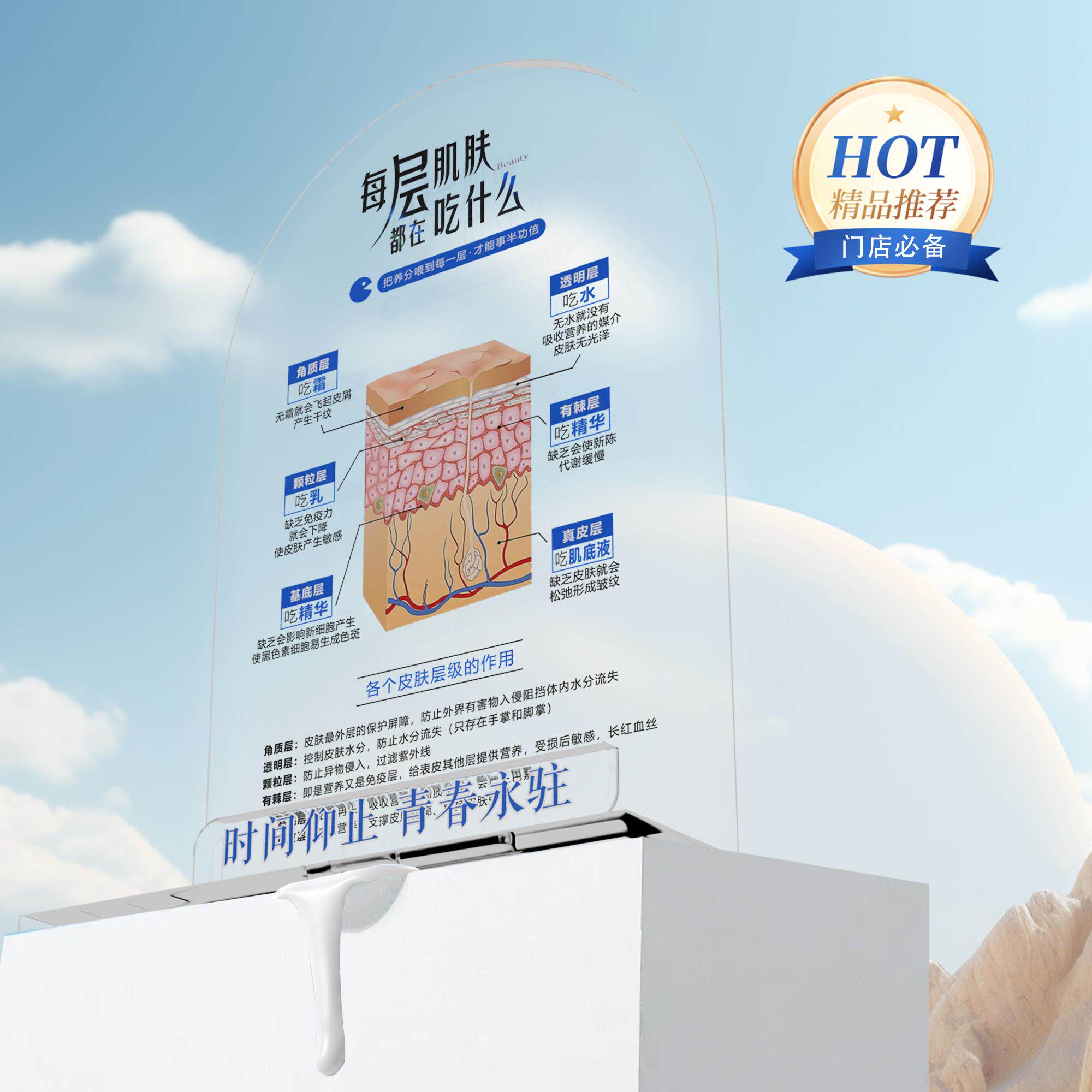 皮肤管理美妆店摆件门店摆件护肤知识摆件皮肤层级吃什么分层