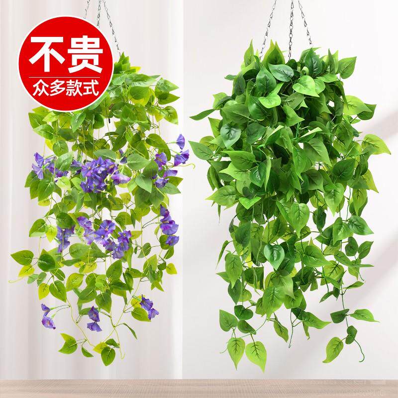 仿真植物壁挂假花藤条藤蔓绿植吊兰室内吊顶垂吊装饰塑料绿萝吊篮