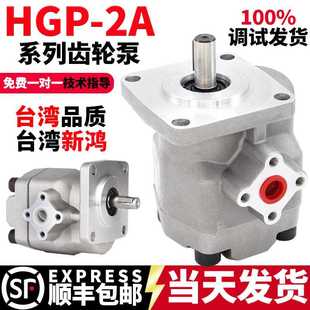 12R 11.5R F2R HGP 液压齿轮泵油泵总成GPY