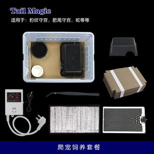 爬宠饲养箱豹纹肥尾R属睫角盖勾亚守宫蛇人渣盒套餐装爬虫瓦