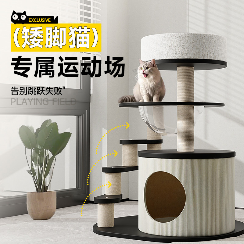 矮脚猫爬架实木小户型不占地家用太空舱猫窝猫抓板猫跳台四季通用