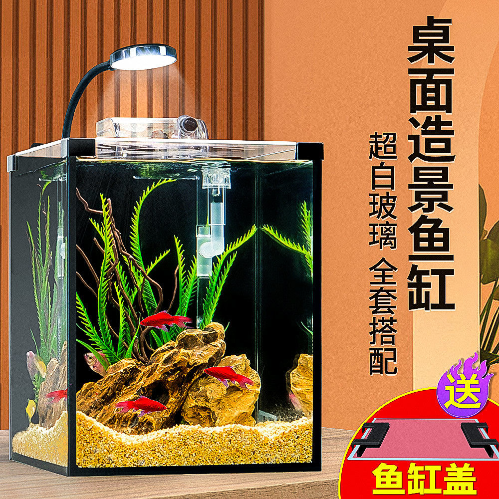桌面斗鱼缸免换水超白鱼缸客厅小型家用办公室生态懒人迷你水