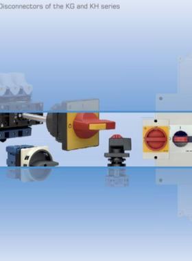 询价~KG10B.T202/01.FT2 Kraus & Naim