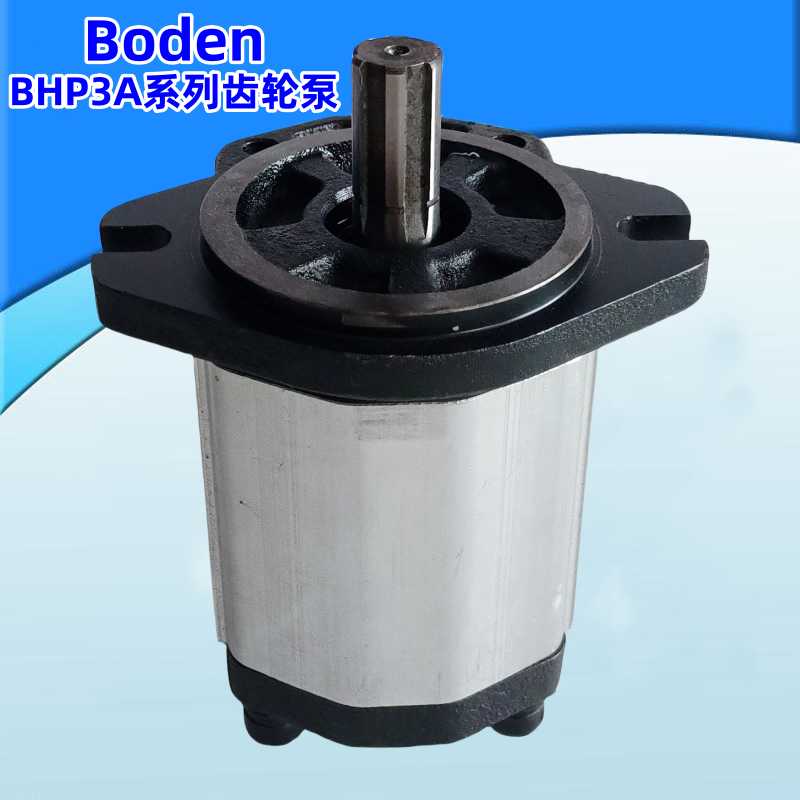 博顿油泵Boden齿轮泵BHP3B0 BHP3B1 BHP3A0 BHP3A1 BHM3B1液