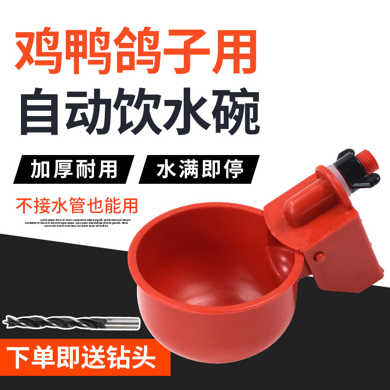 鸡用自动饮水器鸡鸭鹅饮水碗喝水碗鹌鹑家禽饮水器雏鸡鸭鸟饮