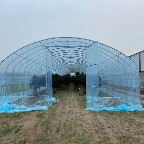 大棚钢管骨架温室大棚蔬菜大棚农业种植钢架养殖棚西瓜育苗种植棚