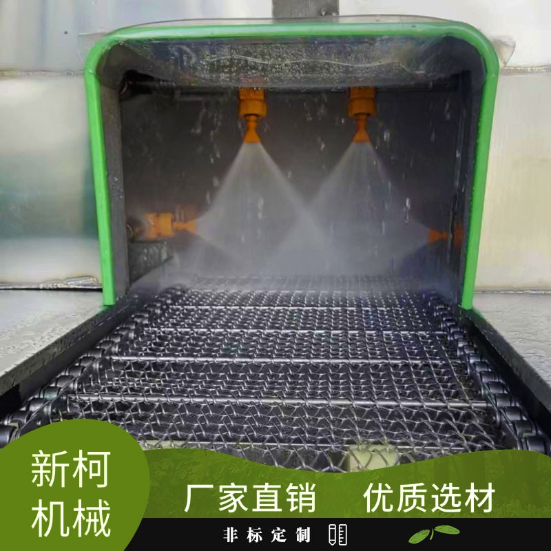 网链清洗机工业铸件高压喷淋清洗板链传送带果蔬海鲜气泡提升