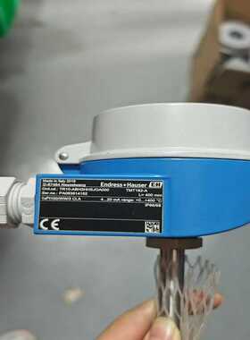 恩德斯豪斯Endress+Hauser（瓠子电子）