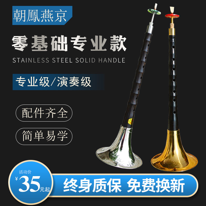 唢呐乐器初学者 d调全套专业黑檀乌木花梨木小号锁呐配件齐送