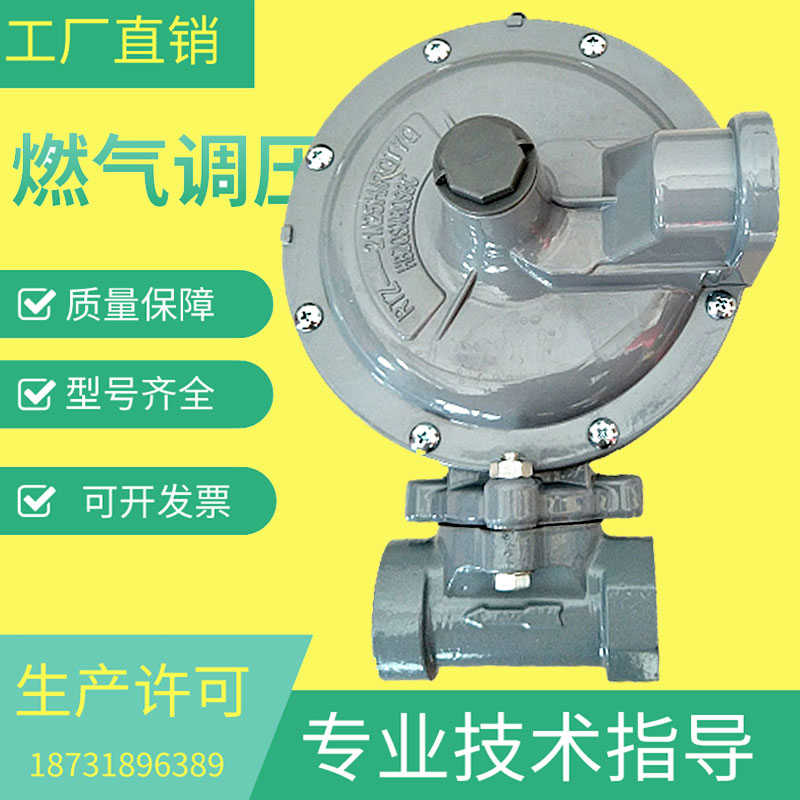艾默科1803B2减压阀AMCO燃气天然气煤气减压阀燃气调压器汽化