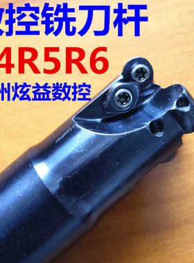 d213R4c12d16C16c10-130-1T200元圆牛鼻立铣刀杆抗震emr单刃