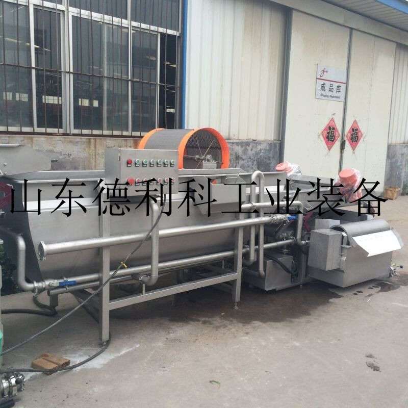 多功能山野菜气泡清洗机木耳气泡清洗机水果葡萄清洗机蓝莓清洗机