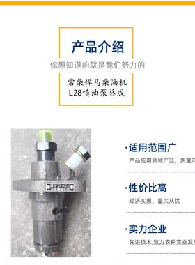 山东ZJC鑫亚常柴悍ma油机柴喷油泵配总成l28常柴柴油机喷油泵件eh