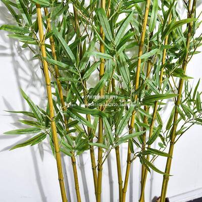 仿人IFB真子室内装竹饰隔断挡墙造竹子底座户外造假景防真毛竹绿