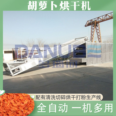 胡萝卜清洗切碎打粉烘干设备Carrot Residue Dryer胡萝卜渣烘干机