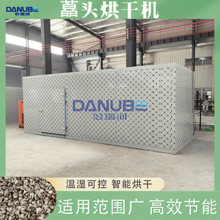 藠头烘干机 全自动南薤三白头清洗烘干生产线 舒安藠头烘干机设备