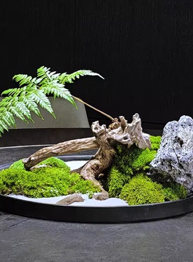 餐桌转盘中永生苔藓微景观摆件