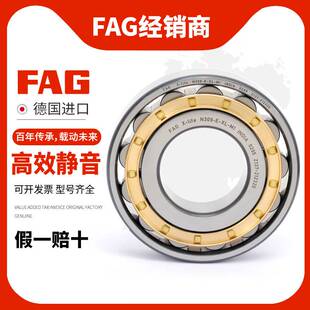 进口FAG圆柱轴承N304 N305 N306 N307 N308 N309 N310-E-TVP2-M1