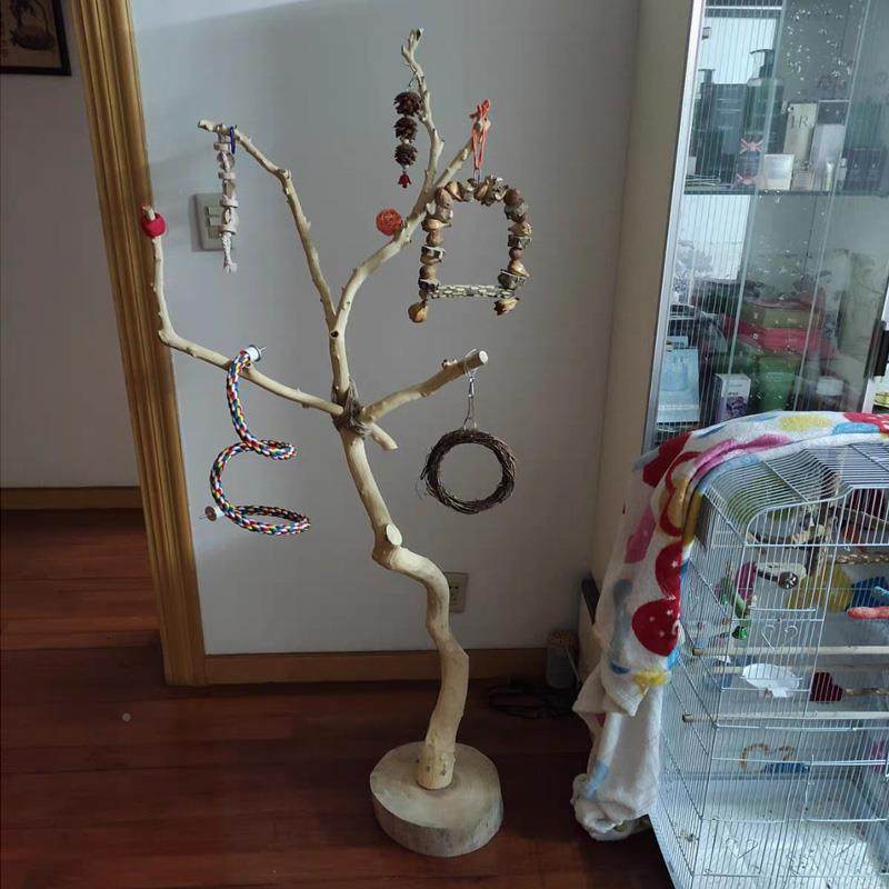 cs干树枝原木F7687HMM树杈架造型实木落鸟地灯架艺干枯枝术架龙骨