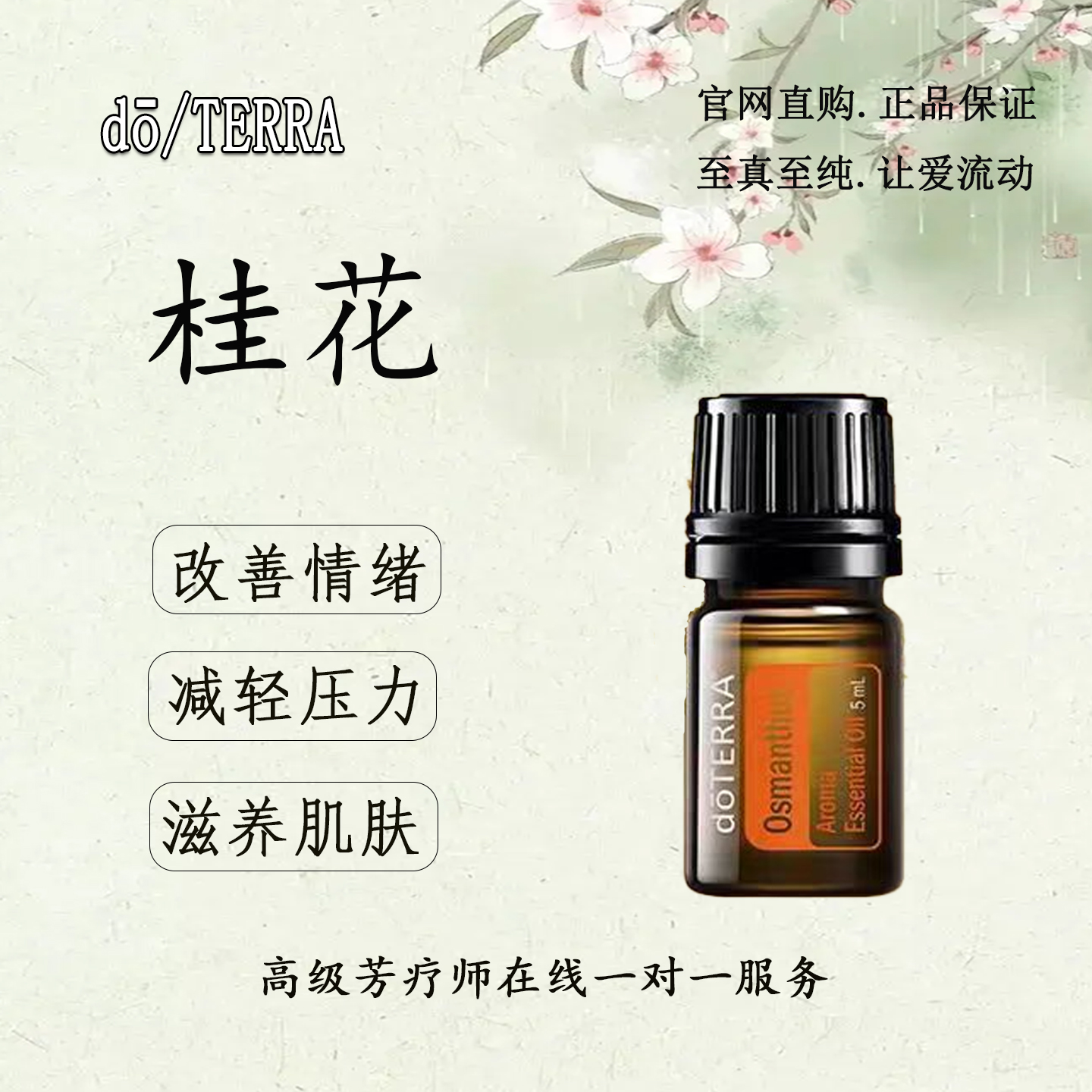 多特瑞桂花精油改善情绪减轻压力