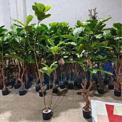 外贸真榕琴叶榕盆新款大型005琴仿叶绿植盆栽假绿植摆件景生产