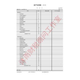 新企业会计准则Exl标准空白表资产利润流量表所有者权益变动表